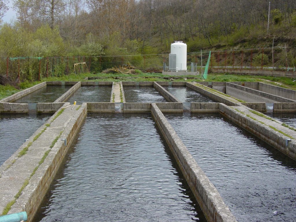 Piscifactoria campoo-Villafria